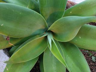 Lapologang Valley Resort