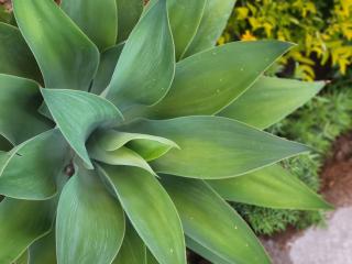 Lapologang Valley Resort