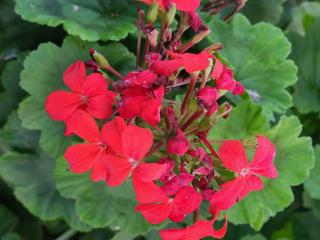 Lapologang Valley Resort