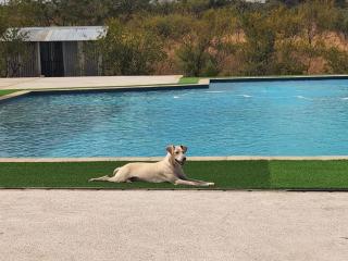 Lapologang Valley Resort