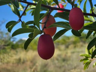 Lapologang Valley Resort