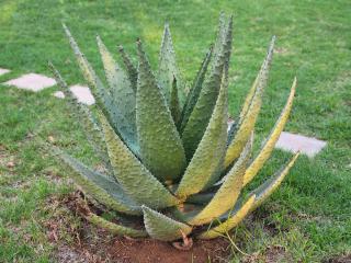 Lapologang Valley Resort