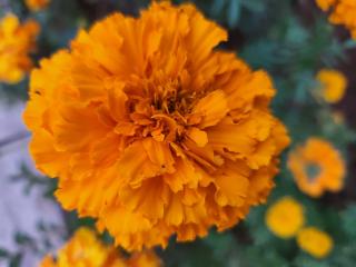 Lapologang Valley Resort