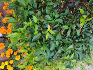 Lapologang Valley Resort