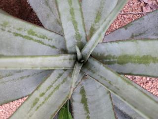 Lapologang Valley Resort