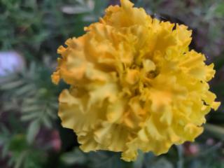 Lapologang Valley Resort