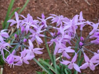 Lapologang Valley Resort