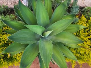 Lapologang Valley Resort