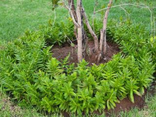 Lapologang Valley Resort