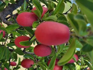 Lapologang Valley Resort