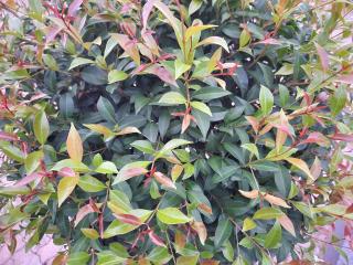 Lapologang Valley Resort