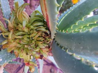 Lapologang Valley Resort